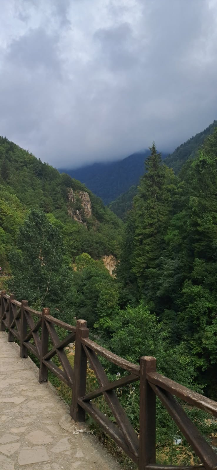 Stone path with a wooden railing beside a forested mountain valley